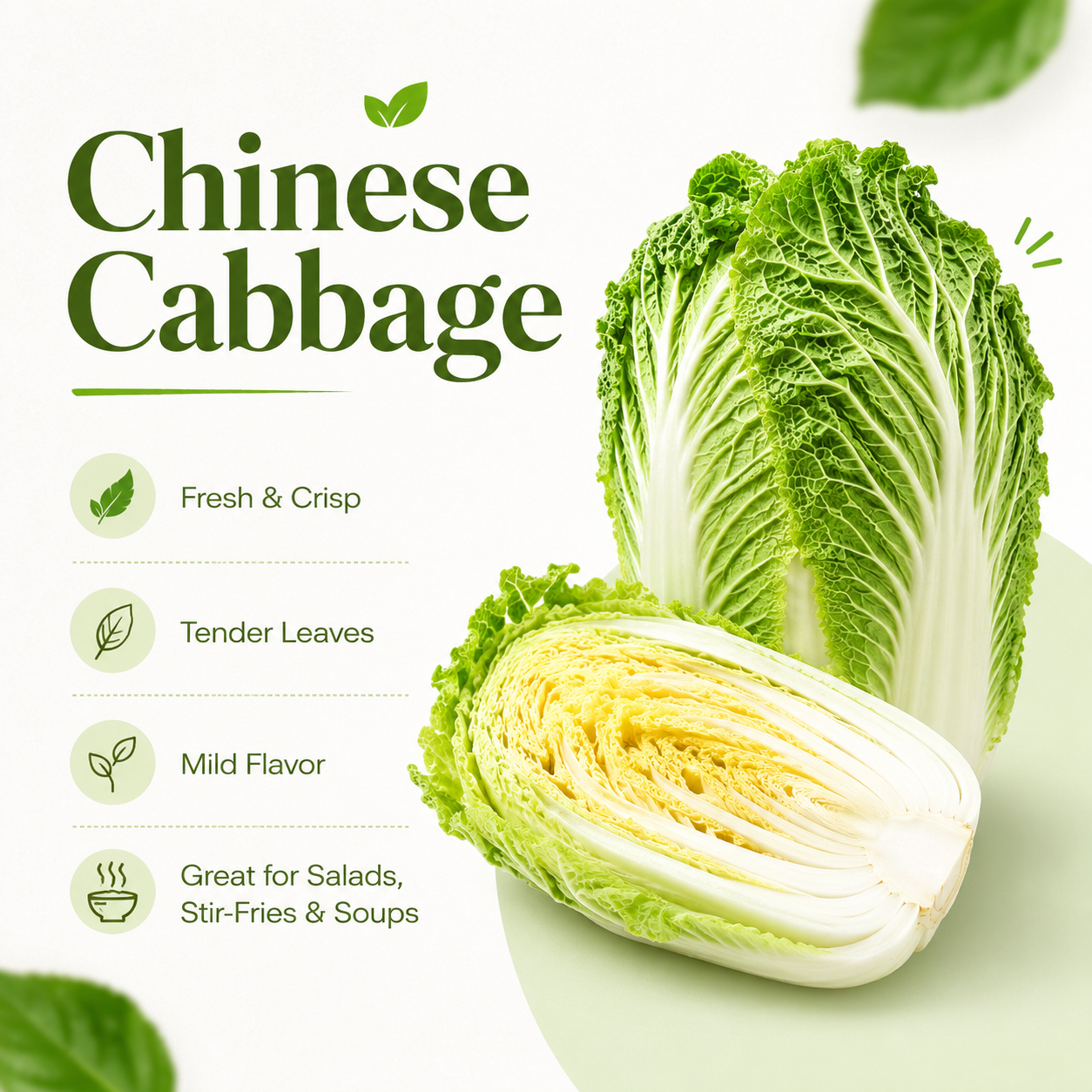 Chinese Cabbage Seeds (Napa Cabbage), F1 Hybrid {WINTER}