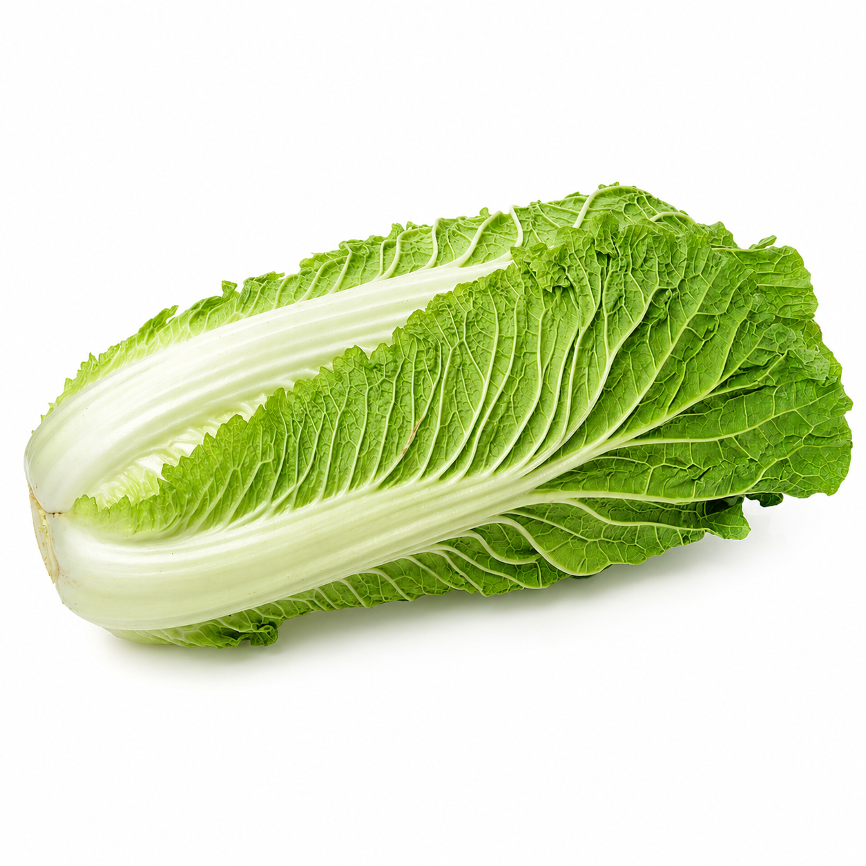 Chinese Cabbage Seeds (Napa Cabbage), F1 Hybrid {WINTER}