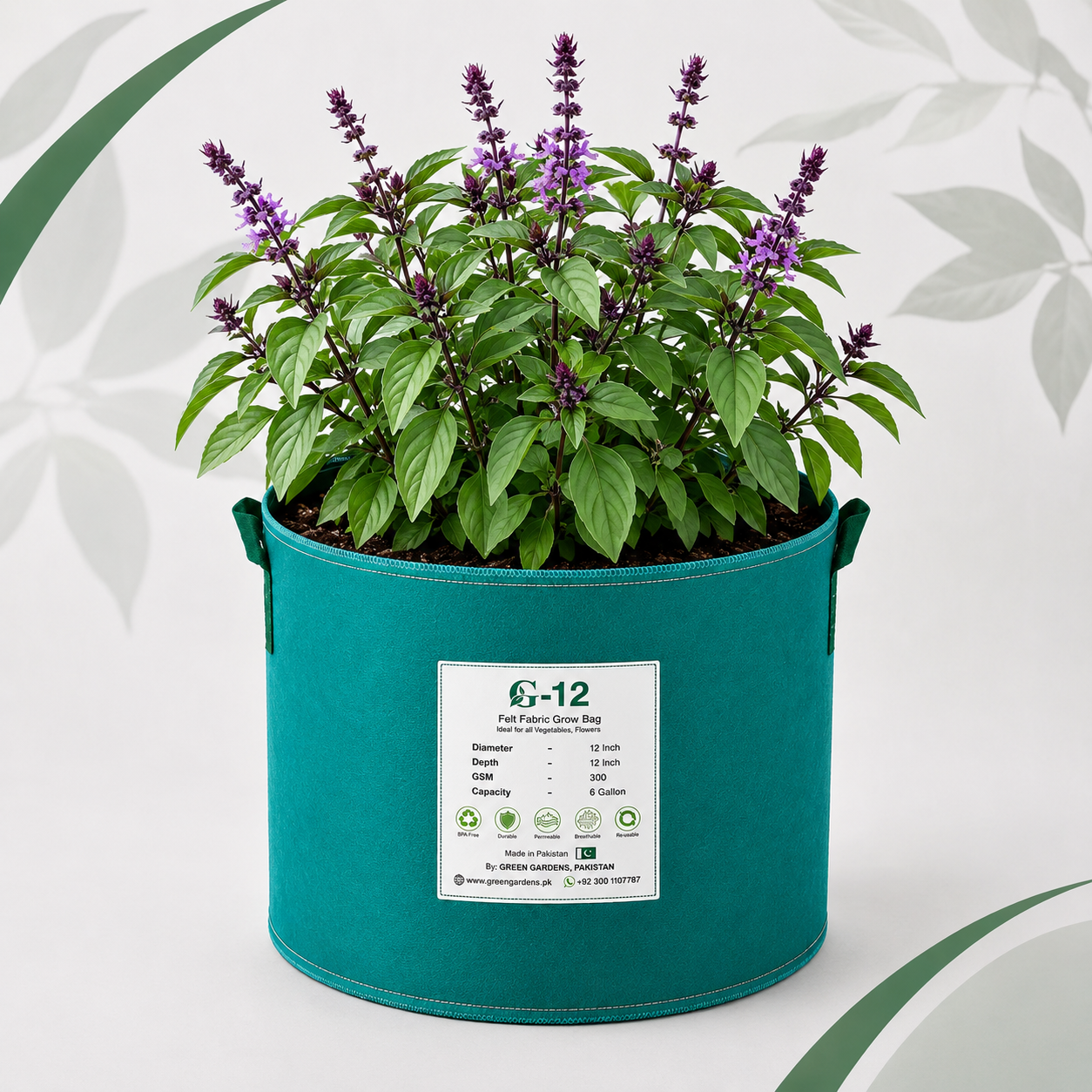 Cinnamon Basil Seeds – Mix | SUMMER / WINTER
