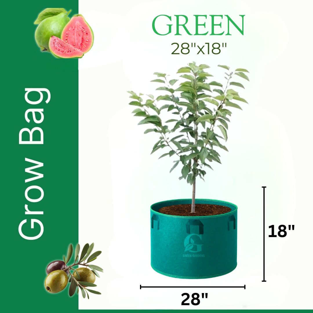 Grow Bag GREEN – 28″ x 18″ Six Handles (For Fruit Plants)