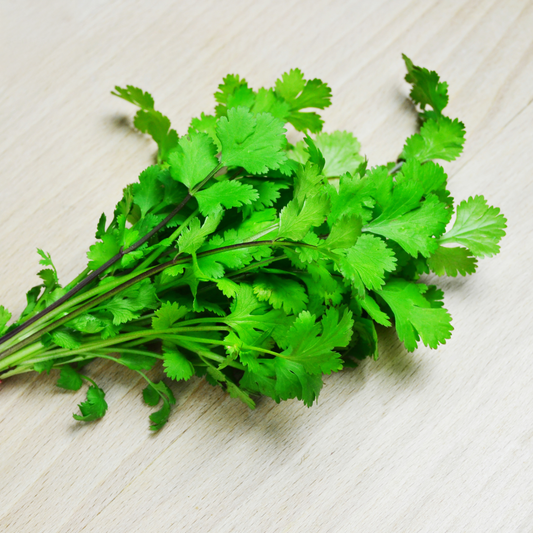 Coriander Seeds - F1 Hybrid – 50g (WINTER/ SUMMER)