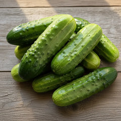 Fresh young Favorite pickling cucumbers growing on a vigorous green vine – Azerbaijani cucumber seeds for home gardening in Pakistan