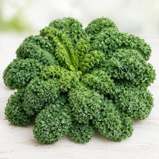Curly Kale Seeds (Herb) {SUMMER}