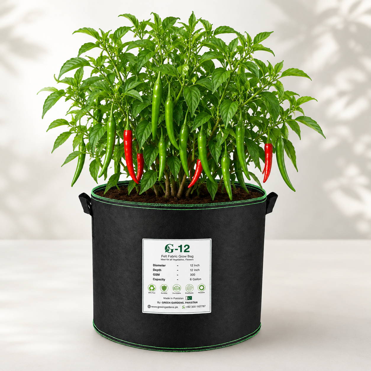 Desi Green Chilli with long slim fresh green fruits – chilli seeds for kitchen gardening in Pakistan