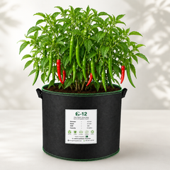 Desi Green Chilli with long slim fresh green fruits – chilli seeds for kitchen gardening in Pakistan