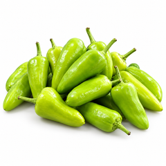 Fresh Desi green chillies growing on a healthy branching plant – Hari Mirch seeds for home and kitchen gardening in Pakistan