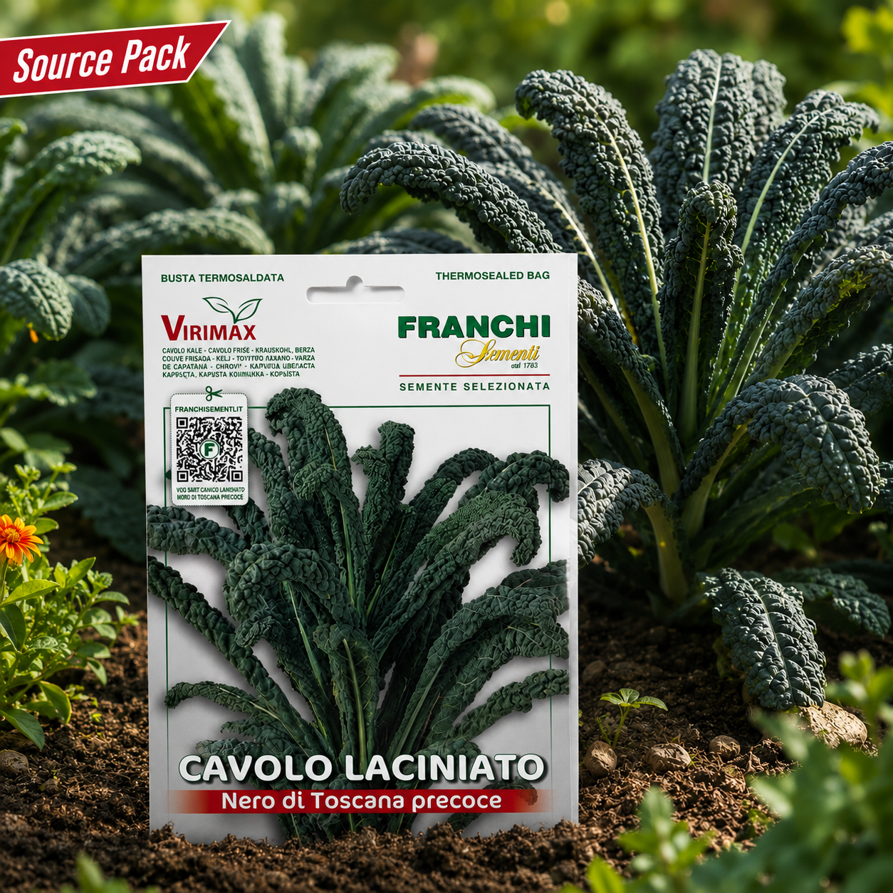 Dinosaur Kale Seeds – Nero di Toscana Precoce | Franchi Seeds Italy (WINTER)
