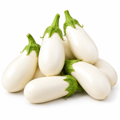 Creamy-white teardrop-shaped F1 Hybrid eggplants growing on a healthy plant – white brinjal seeds for summer and winter gardening in Pakistan