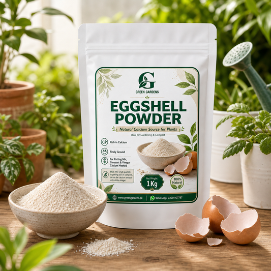 Eggshell Powder – 1 Kg