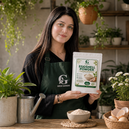 Eggshell Powder – 500g