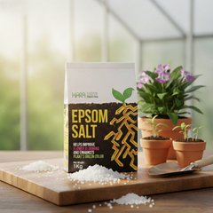 Epsom Salt (Magnesium Sulphate) – 1Kg (Organic Furtilizer)