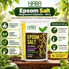 Epsom Salt Magnesium Sulphate 800g benefits, magnesium nutrition and application guide