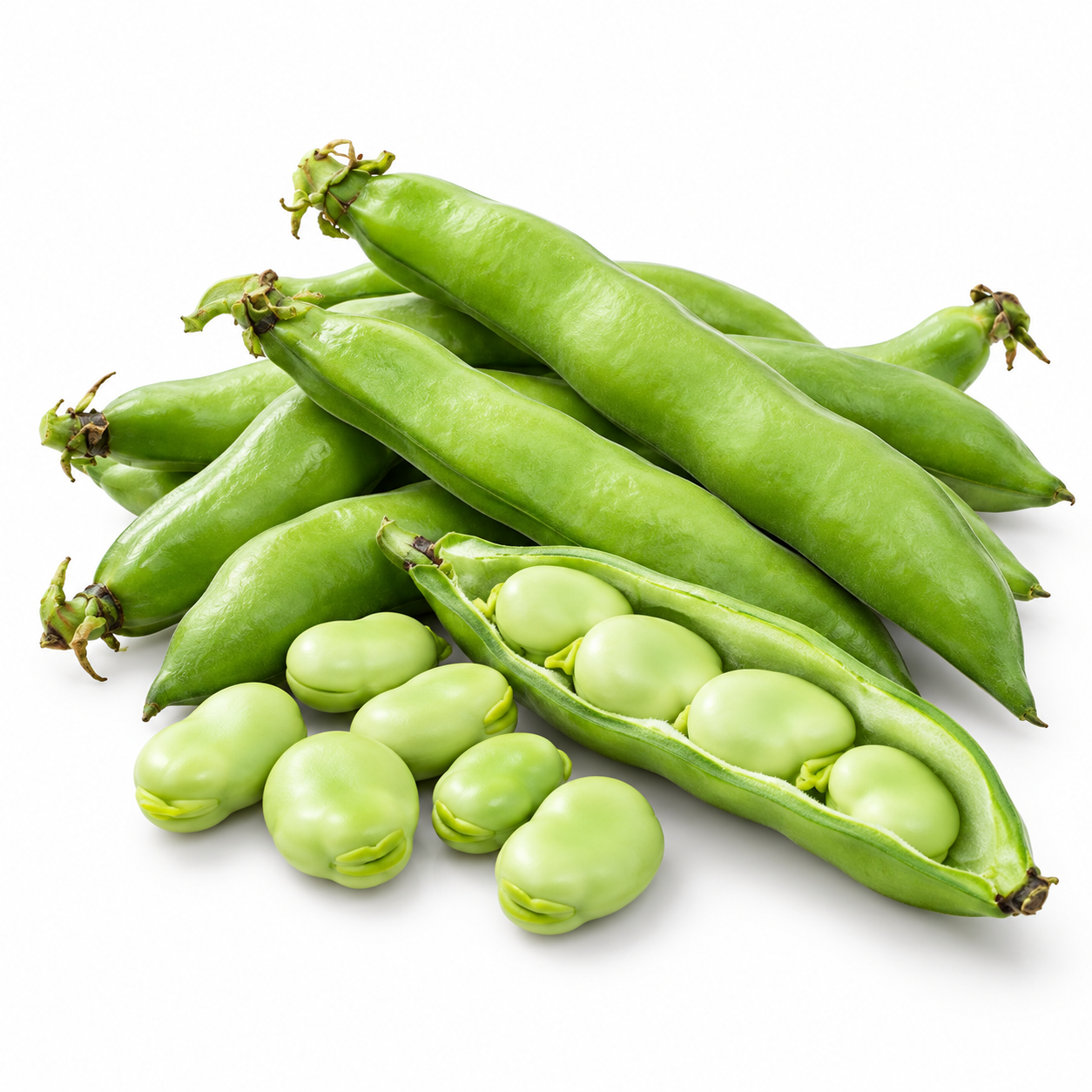 Fava Beans Broad Beans seeds 1 kg produced at Khaplu with healthy plants and green pods – bulk winter vegetable seeds Pakistan