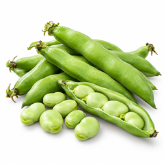 Fava Beans Broad Beans seeds 1 kg produced at Khaplu with healthy plants and green pods – bulk winter vegetable seeds Pakistan