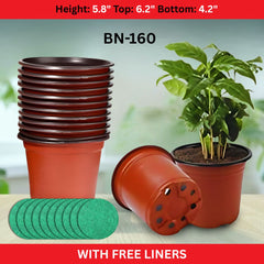 Flexible Nursery Pot IMPORTED - BN 160 (Pack of 10) with Free Liners