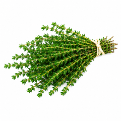 Thyme Seeds – Aromatic Culinary Herb Seeds for Home & Kitchen Gardening – WINTER