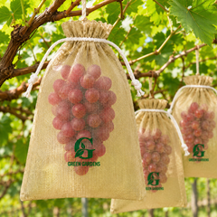 Fruit Protection Cover Single - LARGE (6.7 inch x 9 inch) PREMIUM QUALITY