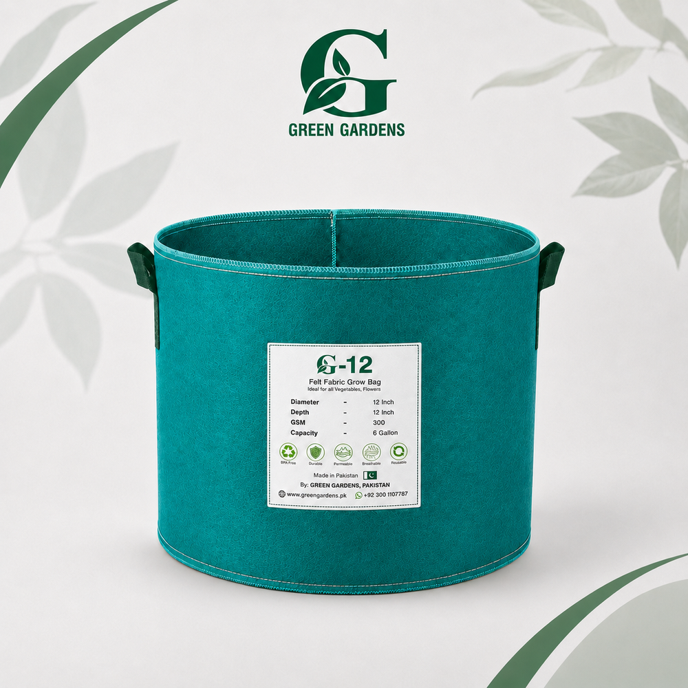 G-12 Green grow bag specifications including 300 GSM, 6-gallon capacity and 2 handles