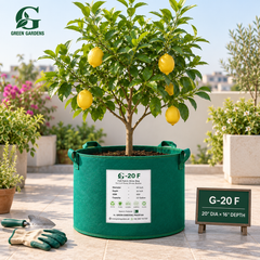 GREEN GARDENS G-20 F Green grow bag for lemon citrus fruit plants shrubs and bushes