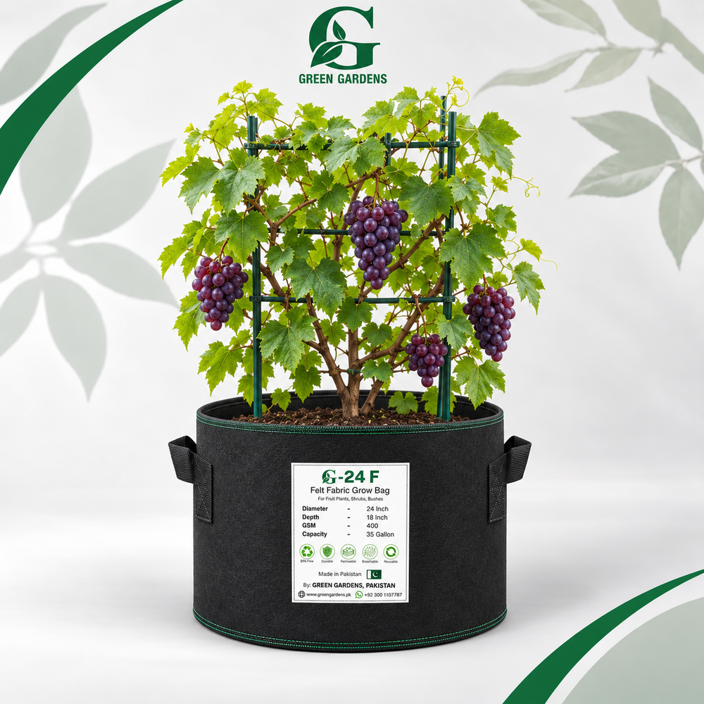 GREEN GARDENS G-24 F Black 24×18 inch round 400 GSM felt fabric grow bag with 6 handles for fruit plants