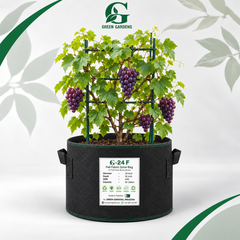 GREEN GARDENS G-24 F Black 24×18 inch round 400 GSM felt fabric grow bag with 6 handles for fruit plants