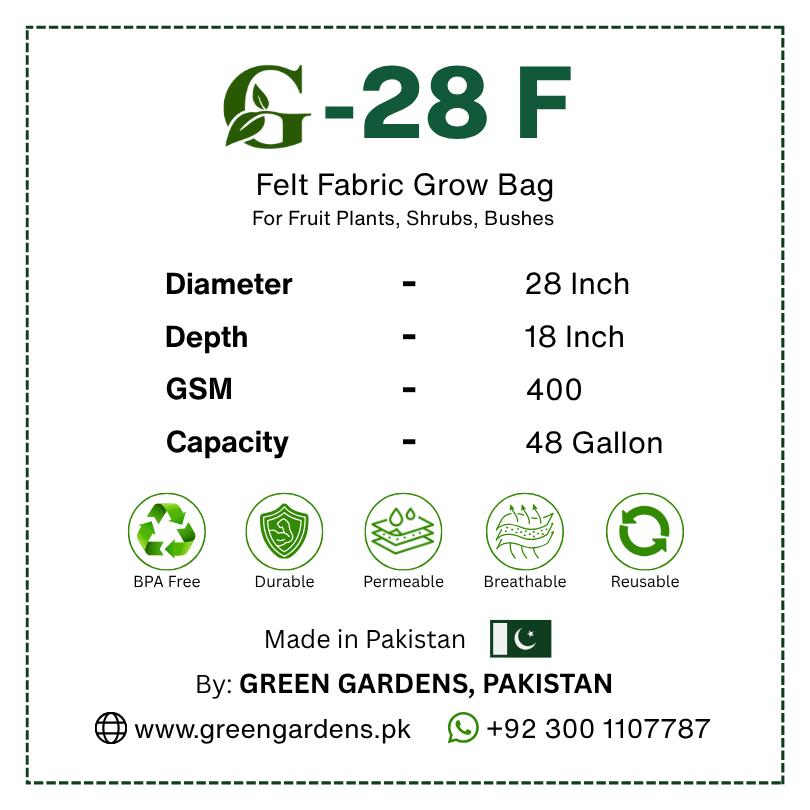 GREEN GARDENS G-28 F  28×18 inch round 400 GSM felt fabric grow bag with 6 handles for fruit plants