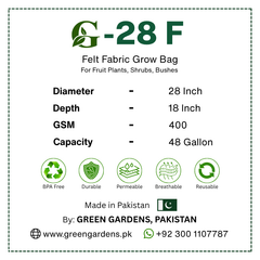 GREEN GARDENS G-28 F  28×18 inch round 400 GSM felt fabric grow bag with 6 handles for fruit plants
