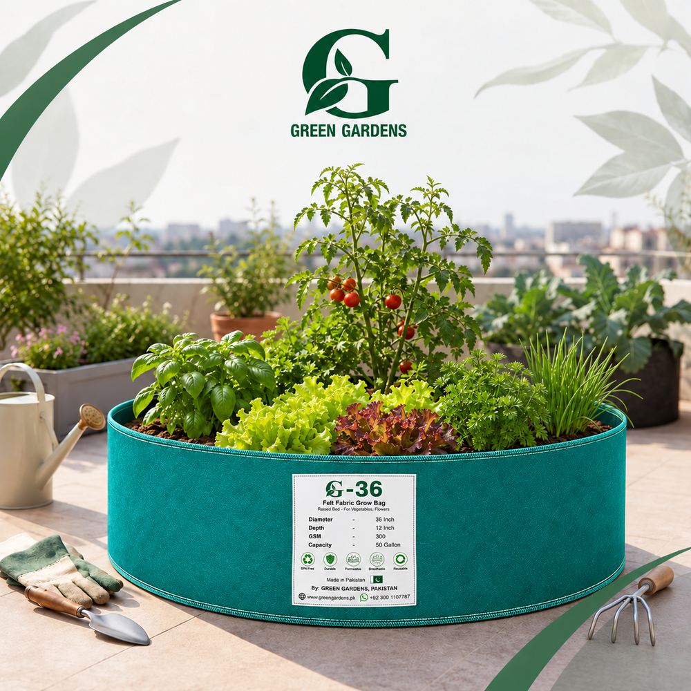 GREEN GARDENS G-36 green 50 gallon grow bag planted with vegetables and herbs in a rooftop kitchen garden