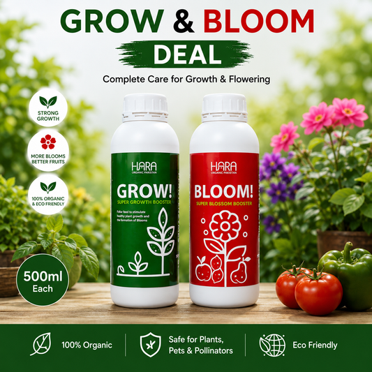 Grow + Bloom Deal – 500ml Each (Pack of 2)