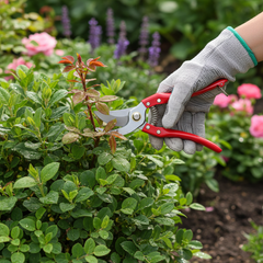 Garden Pruner (SK 5 Blade)