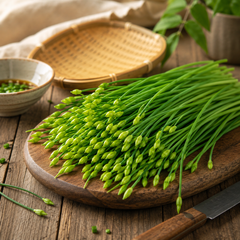 Fresh Garlic Chives Allium tuberosum with flat green leaves – perennial culinary herb seeds for home gardening in Pakistan