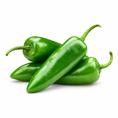 Healthy Green Chilli SAKATA-561 F1 Hybrid plant with green fruits – hybrid chilli seeds for winter and summer gardening in Pakistan