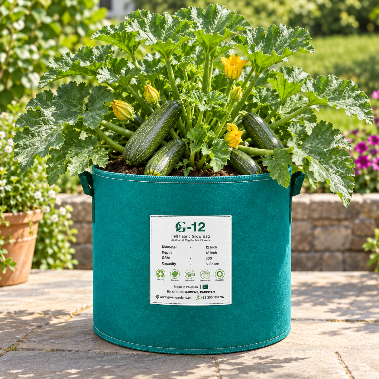 Grey Zucchini Seeds | Summer Squash | WINTER / SUMMER