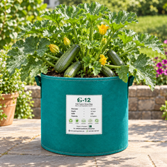 Grey Zucchini Seeds | Summer Squash | WINTER / SUMMER