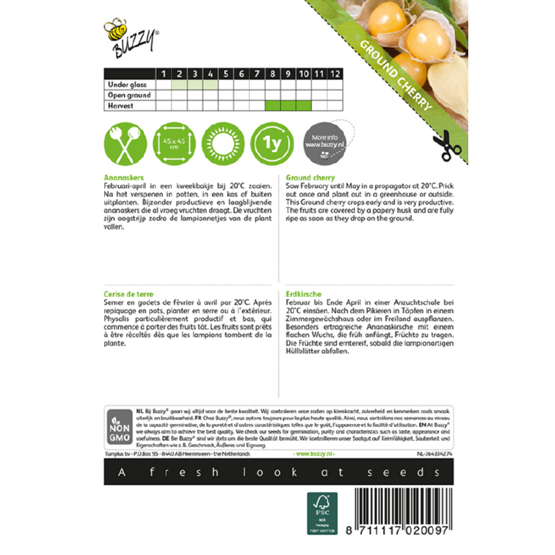 Ground Cherry Golden Berry seeds for warm-season home gardening – Buzzy®
