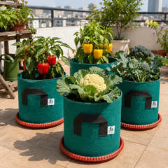 Grow Bag Bottom Plate - 12 inch (Pack OF 5)