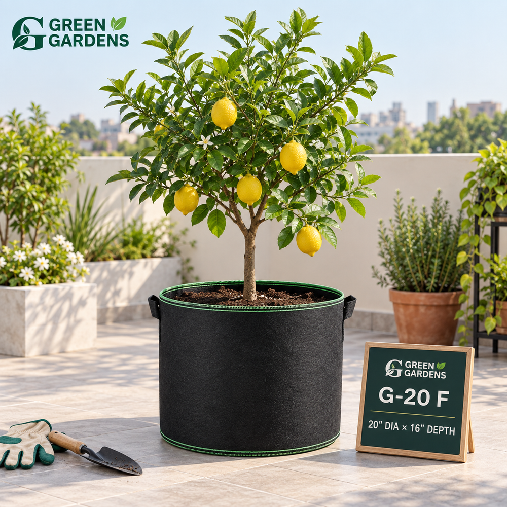 GREEN GARDENS G-20 F Black grow bag for lemon citrus fruit plants shrubs and bushes