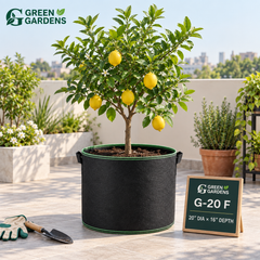 GREEN GARDENS G-20 F Black grow bag for lemon citrus fruit plants shrubs and bushes