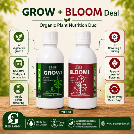 Grow & Bloom Deal – 200ml Each