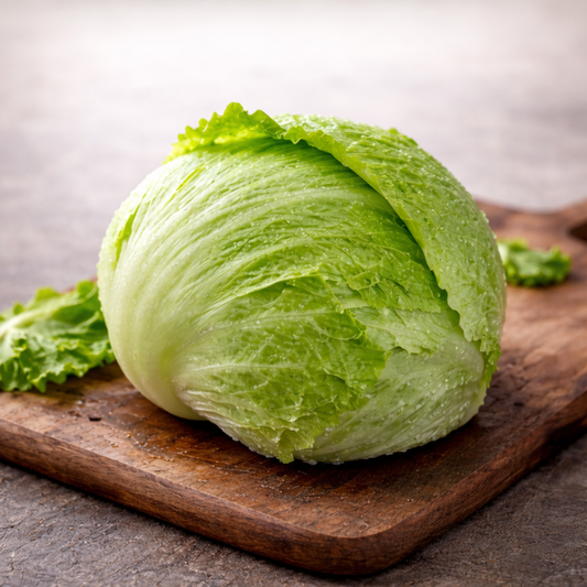 Iceberg Lettuce Seeds, F1 Hybrid  (WINTER) آئس برگ