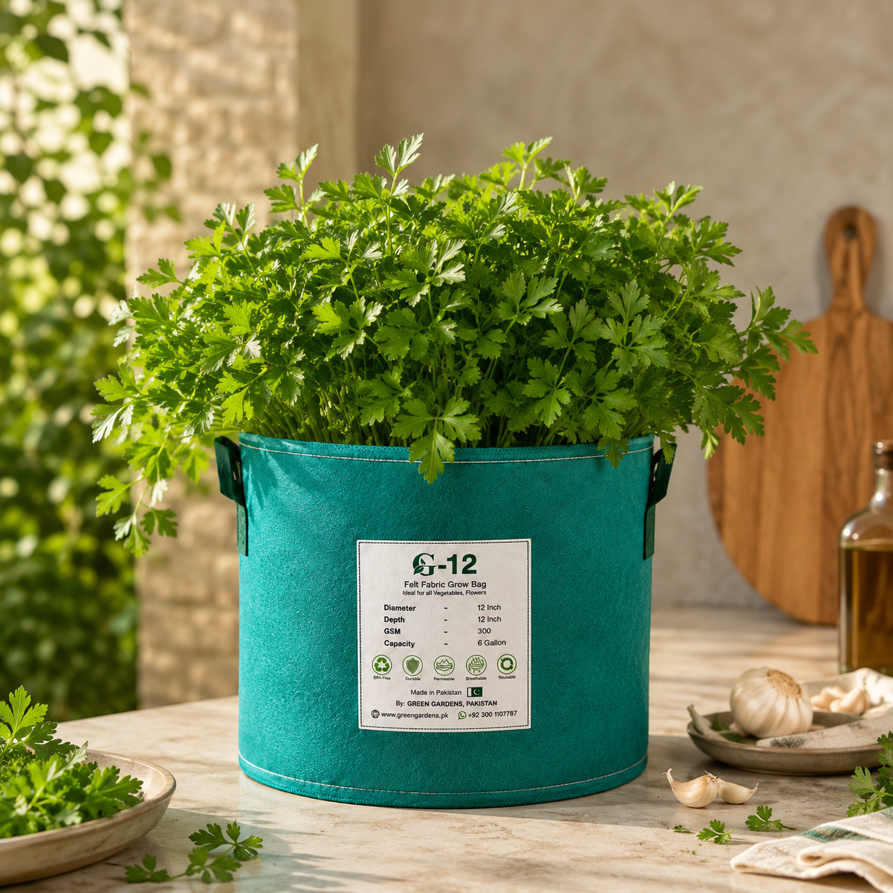 Italian Flat Leaf Parsley with fresh dark green leaves – winter herb seeds for kitchen gardening in Pakistan