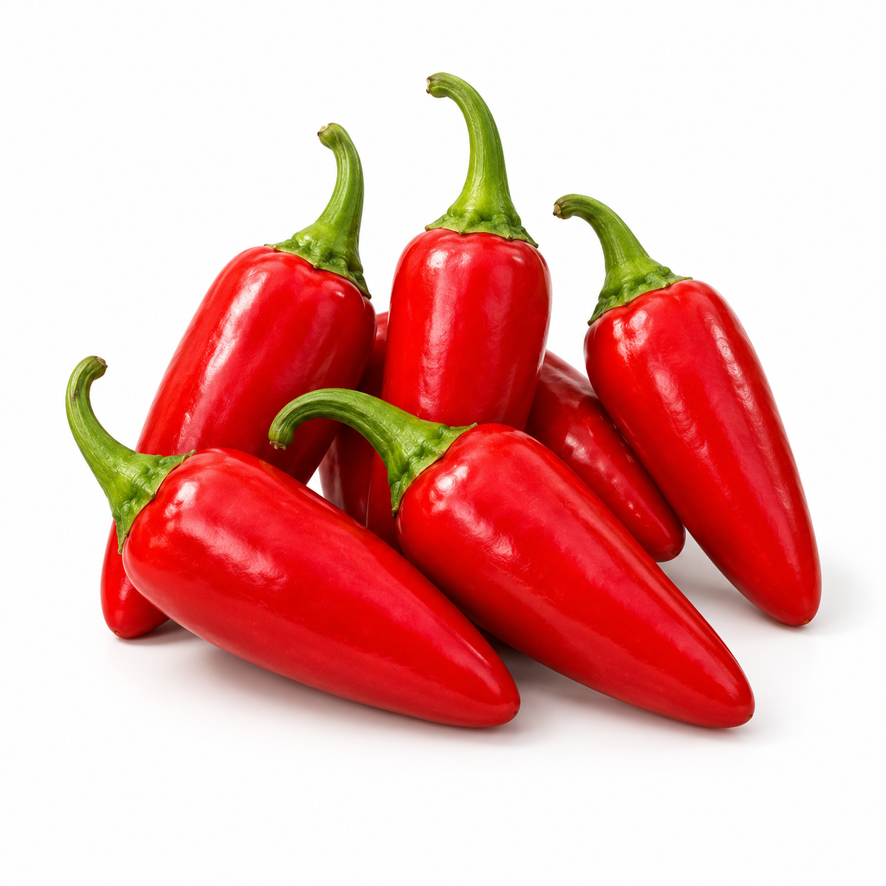 Fully ripe red Jalapeno peppers growing on a healthy bushy plant – medium-hot Jalapeno chilli seeds for winter and summer gardening in Pakistan