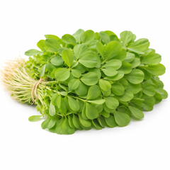 Fenugreek (Kasuri Methi)  {WINTER} قصوری میتھی