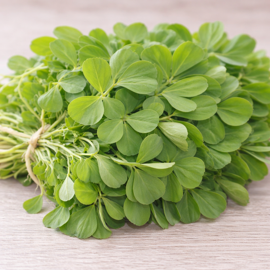 Fenugreek (Kasuri Methi)  {WINTER} قصوری میتھی