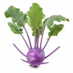 Fresh Purple Kohlrabi Ganth Gobi with violet swollen stems and healthy green leaves – vegetable seeds for home gardening in Pakistan