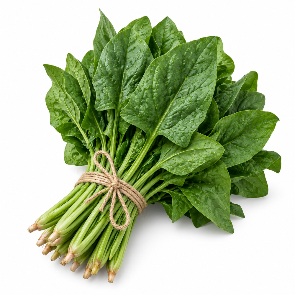 Healthy Lahori Palak plants with tender deeply cut green leaves – winter leafy vegetable seeds for home gardening in Pakistan