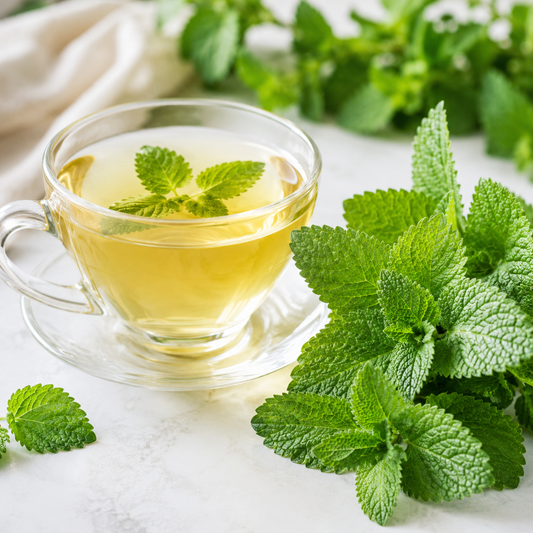 Lemon Balm Seeds  لیمن بام