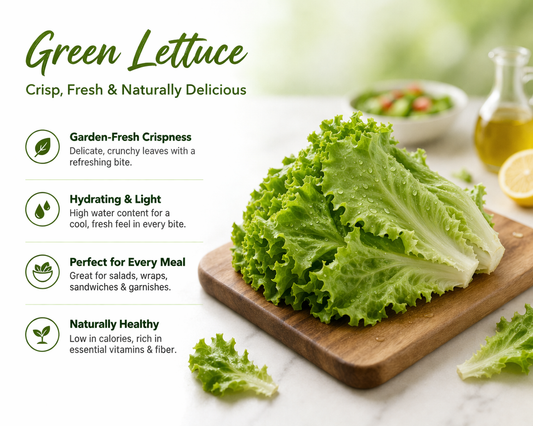 Lettuce Green (WINTER)  سلاد پتہ