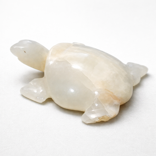 Marble Turtle Showpiece 3.8 Inch | Natural Stone Decor | Good Luck Turtle