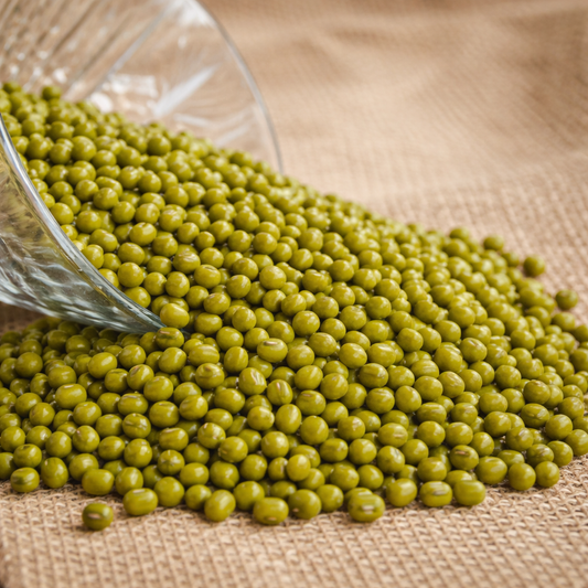 Mung Beans (Moong) Seeds